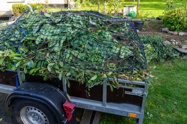 Best Estate Cleanout  in Bassett, VA